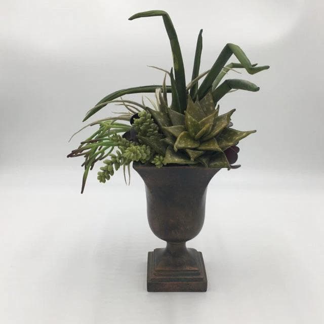 Bronze Vase with Succulents