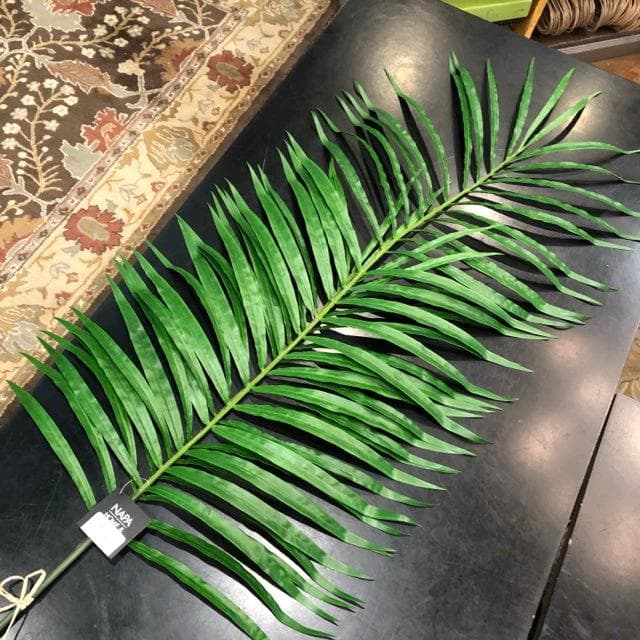 Palm Leaf Branches