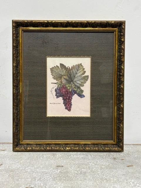 Black Esperione Grape Framed Wall Art