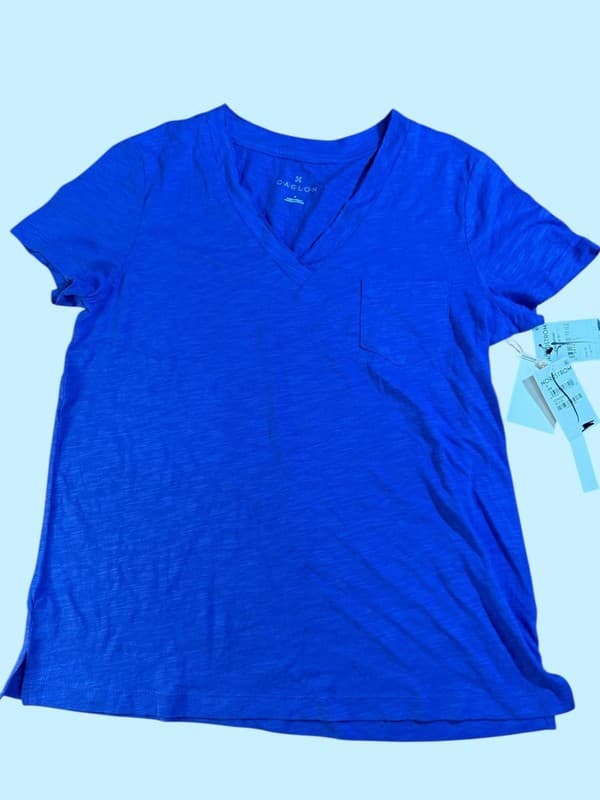 Caslon Cotton & Modal V-Neck Pocket T-Shirt in Blue Dazzle Medium