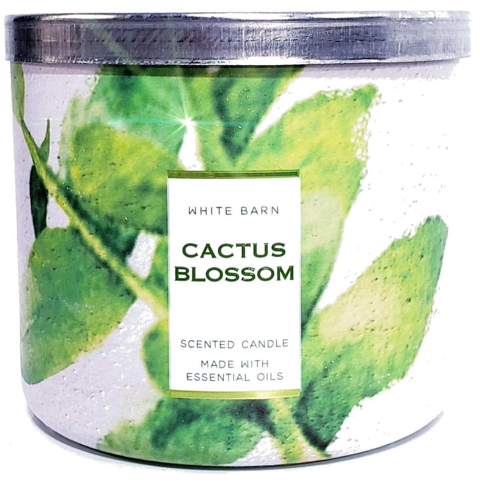 Bath & Body Works Cactus Blossom 3 Wick Candle Tropical Design / Homestyle Lid