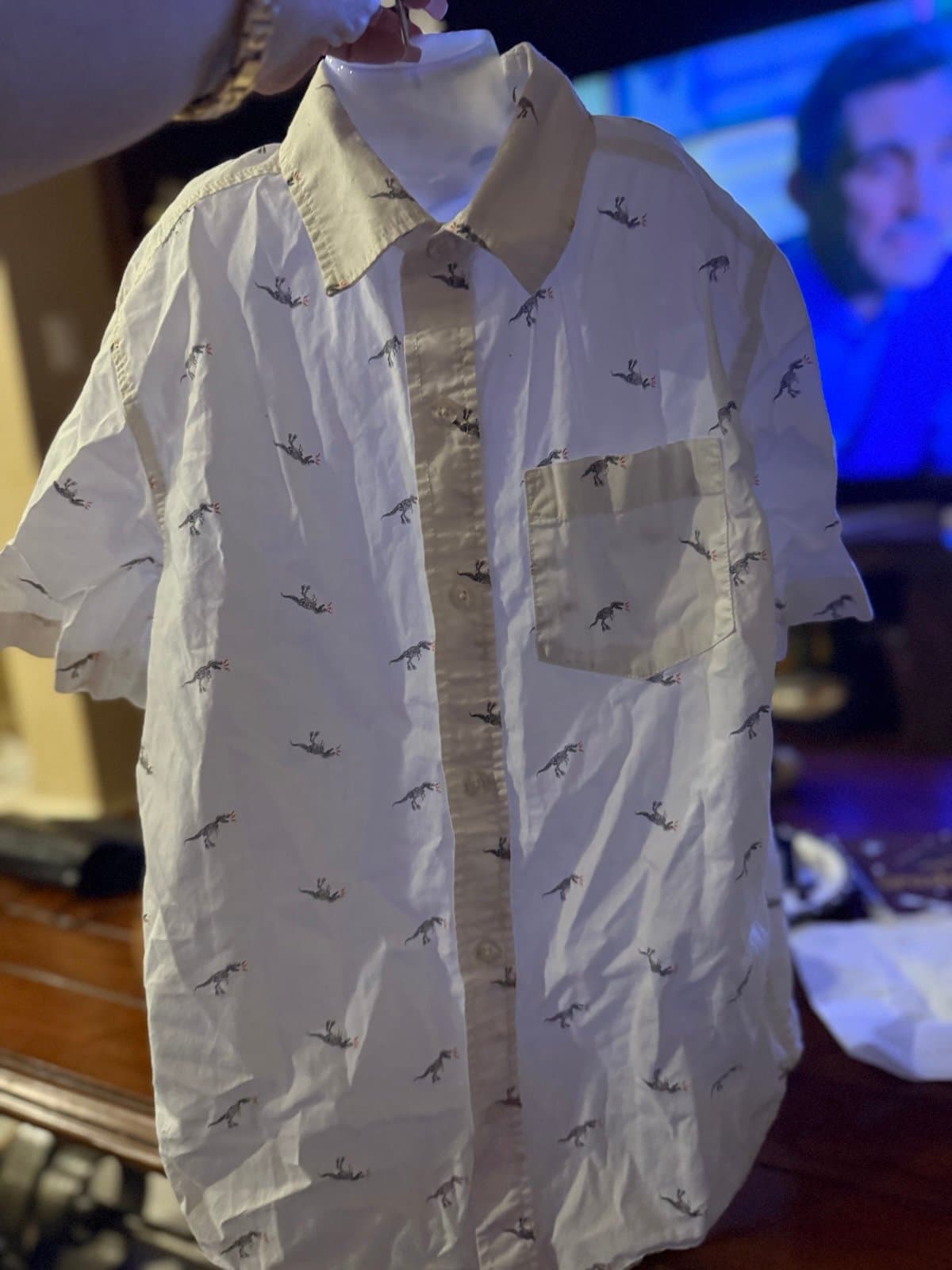 Old Navy The Classic Shirt dinosaur print M (8)
