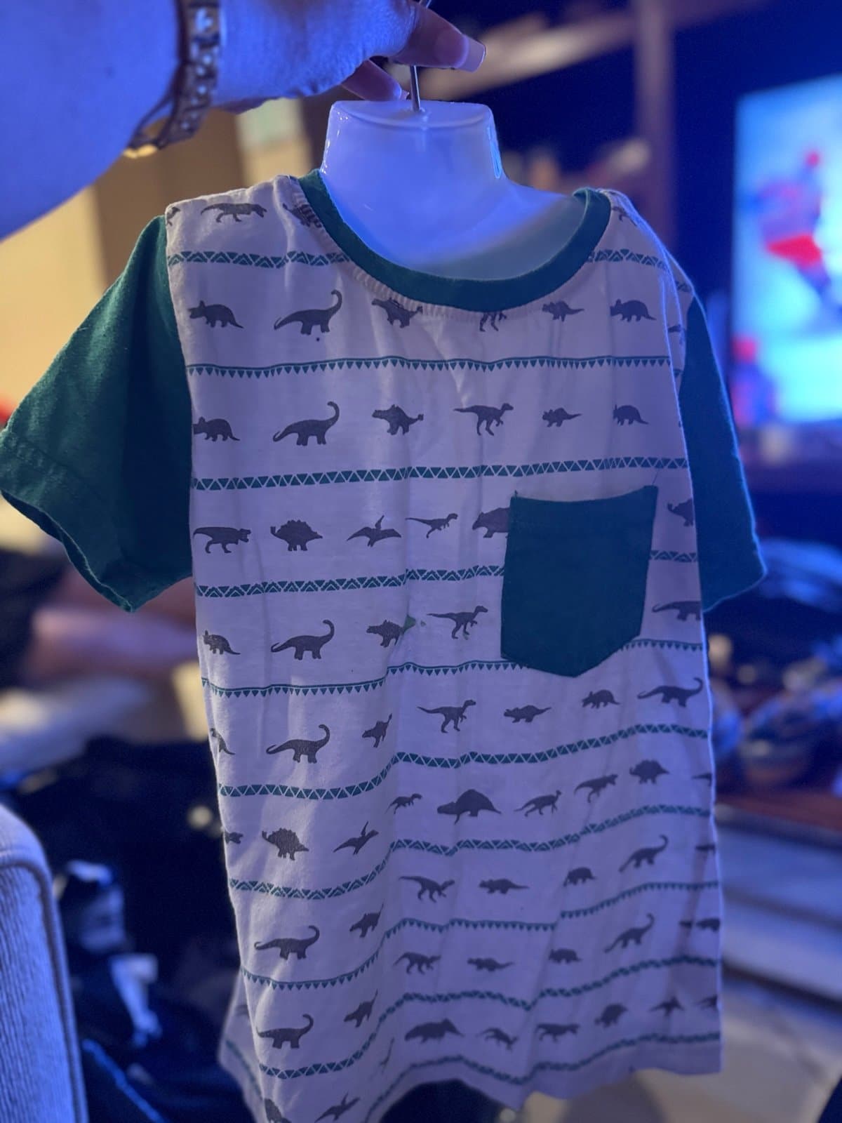 SIDISTORTION Kids Dinosaur T-Shirt Size L/6
