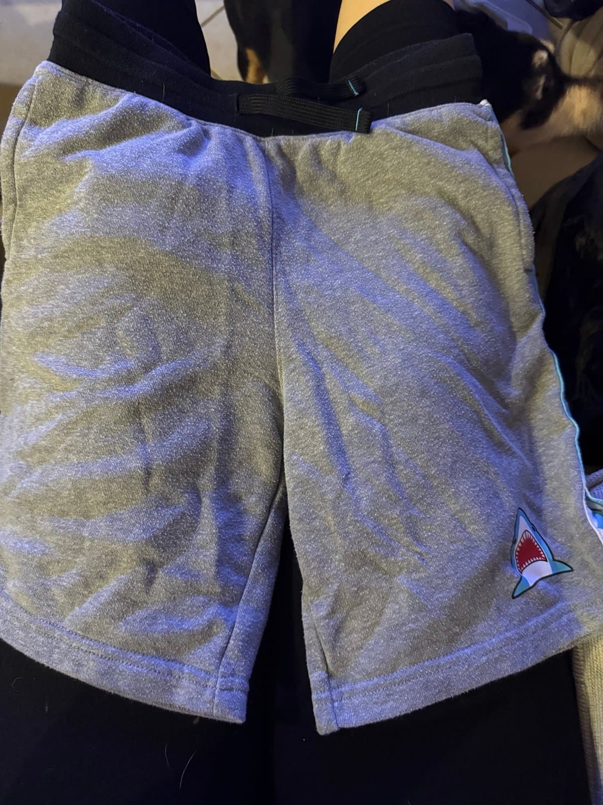 365 Kids Garanimals Grey Shark Shorts Size 7