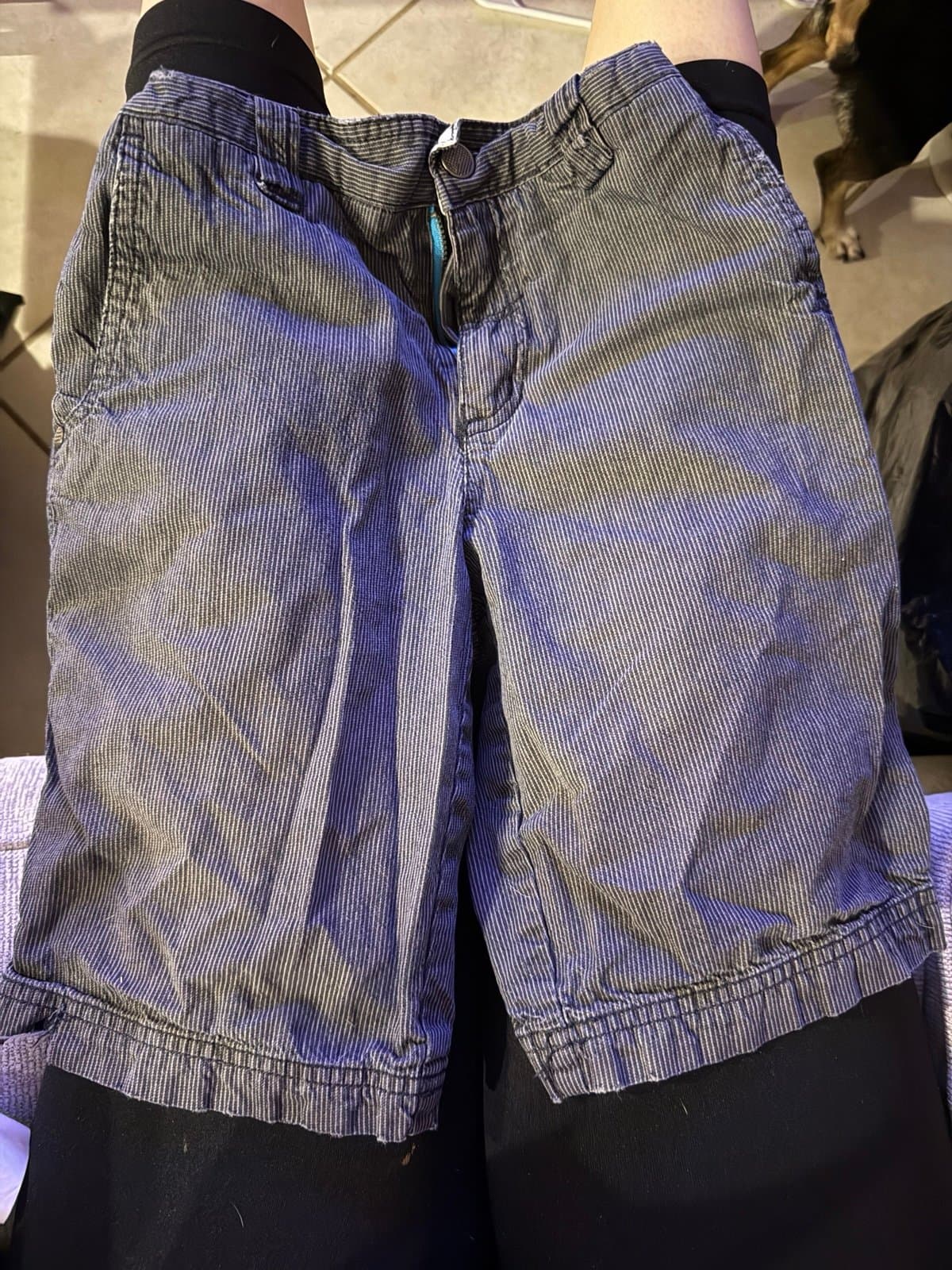 Shaun White Striped Shorts Size 8