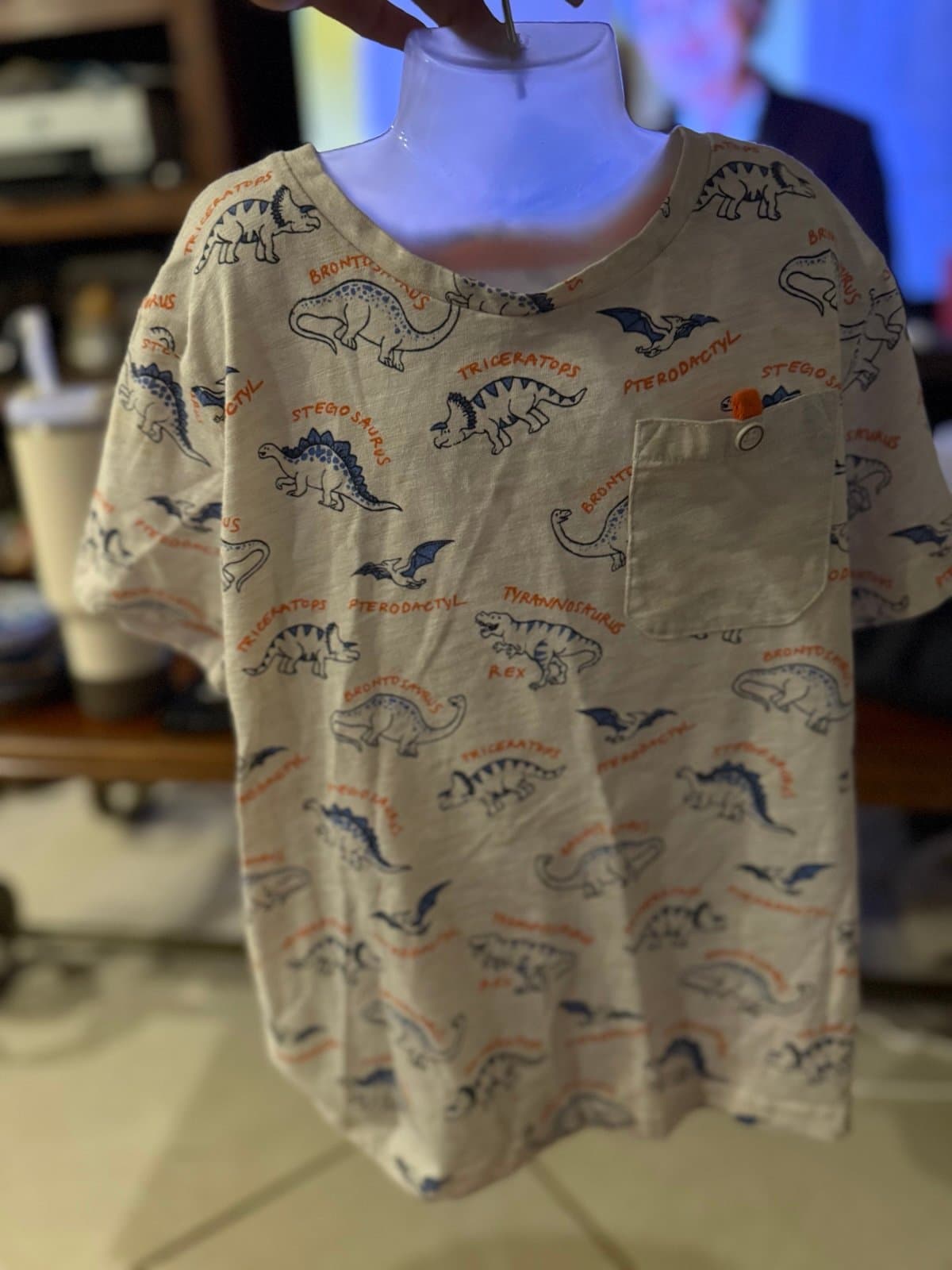 CRAFT+FLOW Little Boy Dinosaur T-shirt Size 6L
