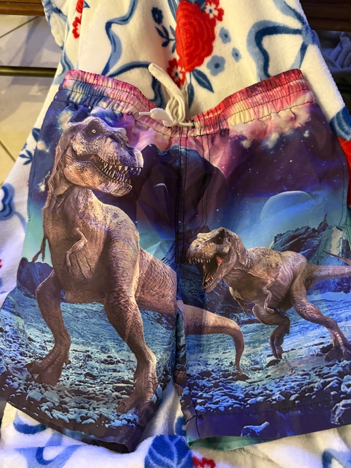 Kids Dinosaur T-Rex Swim Trunks Size 8T
