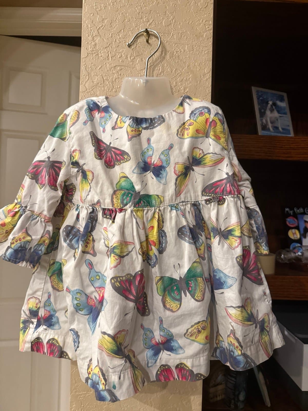 Gymboree Butterfly Dress XS (4)