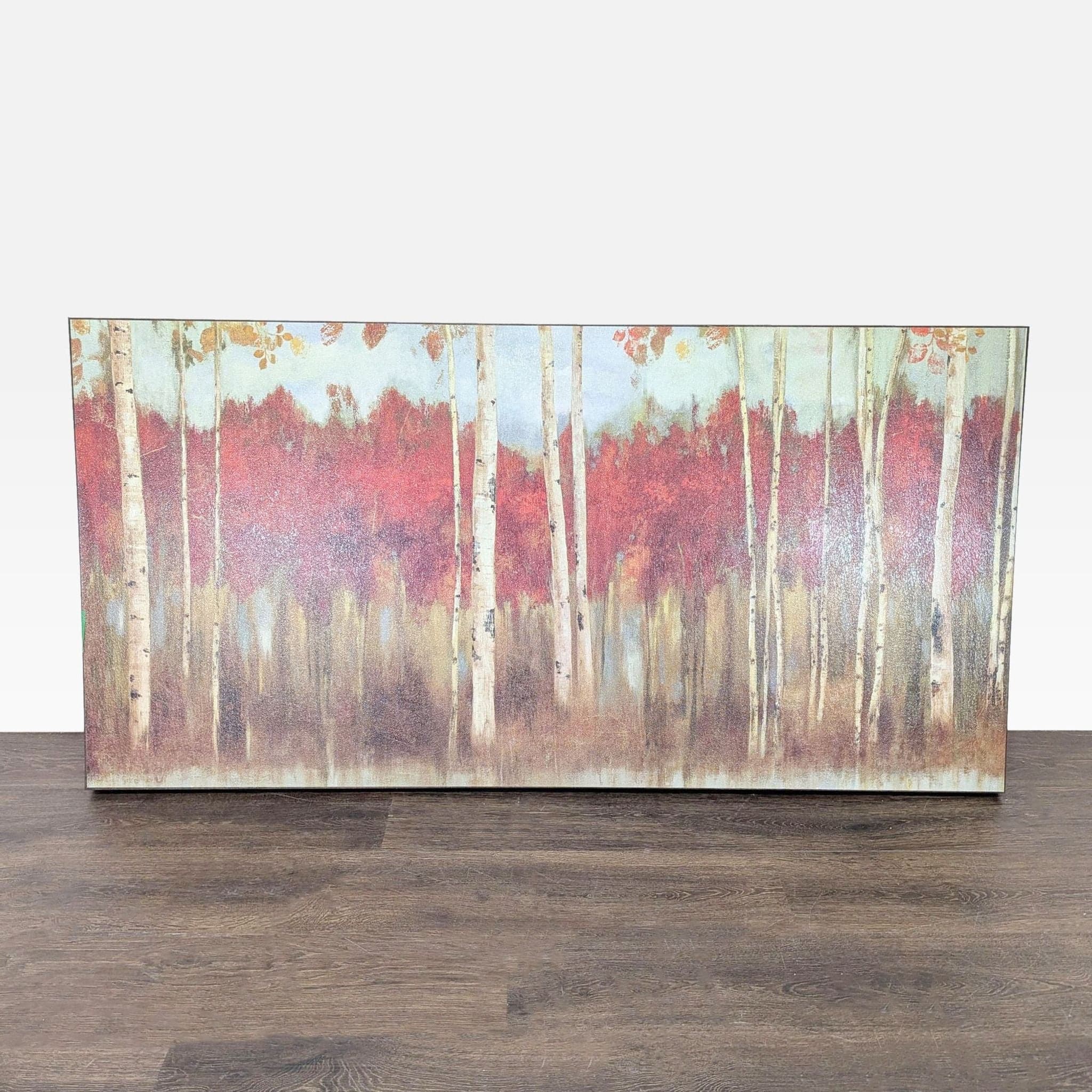 Z Gallerie Autumn Birch Trees Canvas Print Wall Art