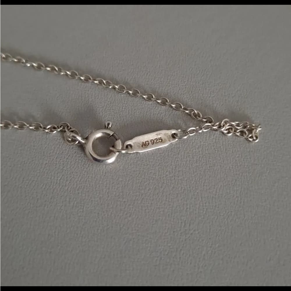 Rare Tiffany & Co. Sterling Silver Rubedo Interlocking Circles Pendant Necklace