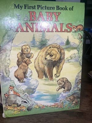 Vintage My First Picture Book Of Baby Animals An Award Book 1984 Hardcover