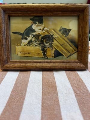 CATS KITTENS PLAYING 4 X 6 gold framed art print Victorian animal picture Vtg
