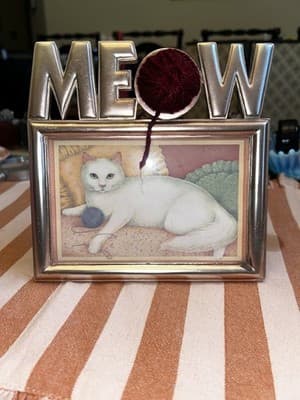 Meow 4x6 Metal Picture Frame With White Cat Yarn Vintage