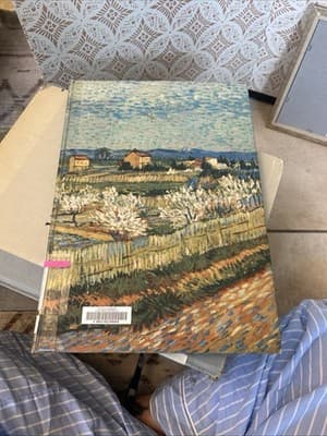 Van Gogh by Palma Bucarelli FRAMEABLE ART reproductions CLOTH COVER Vintage