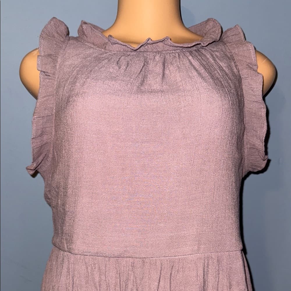Cambery Sleeveless Ruffle Trim Dress - Size Large