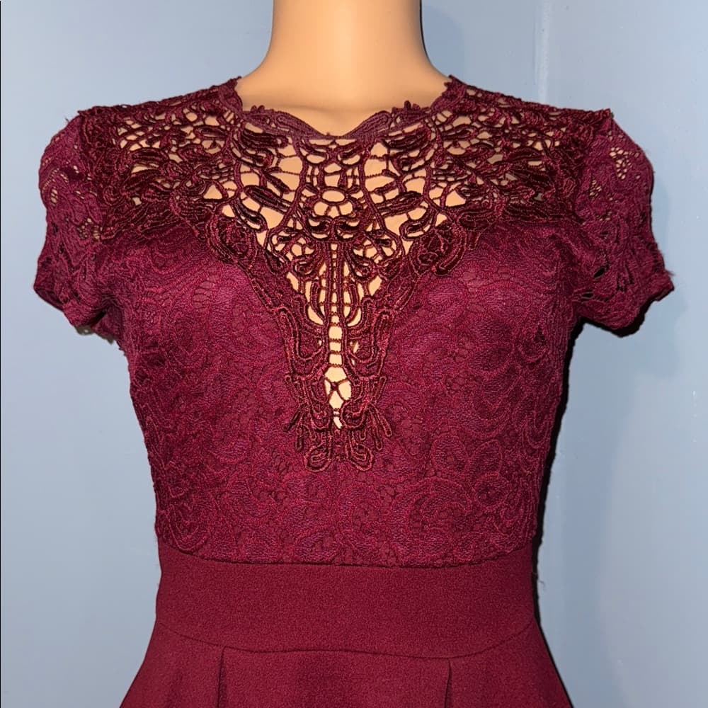 Windsor Burgundy Lace Mini Dress