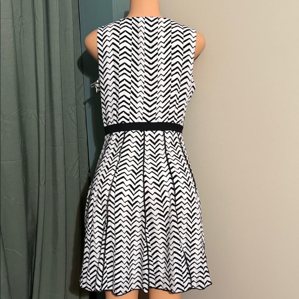 Chic Black and White Chevron Mini Dress