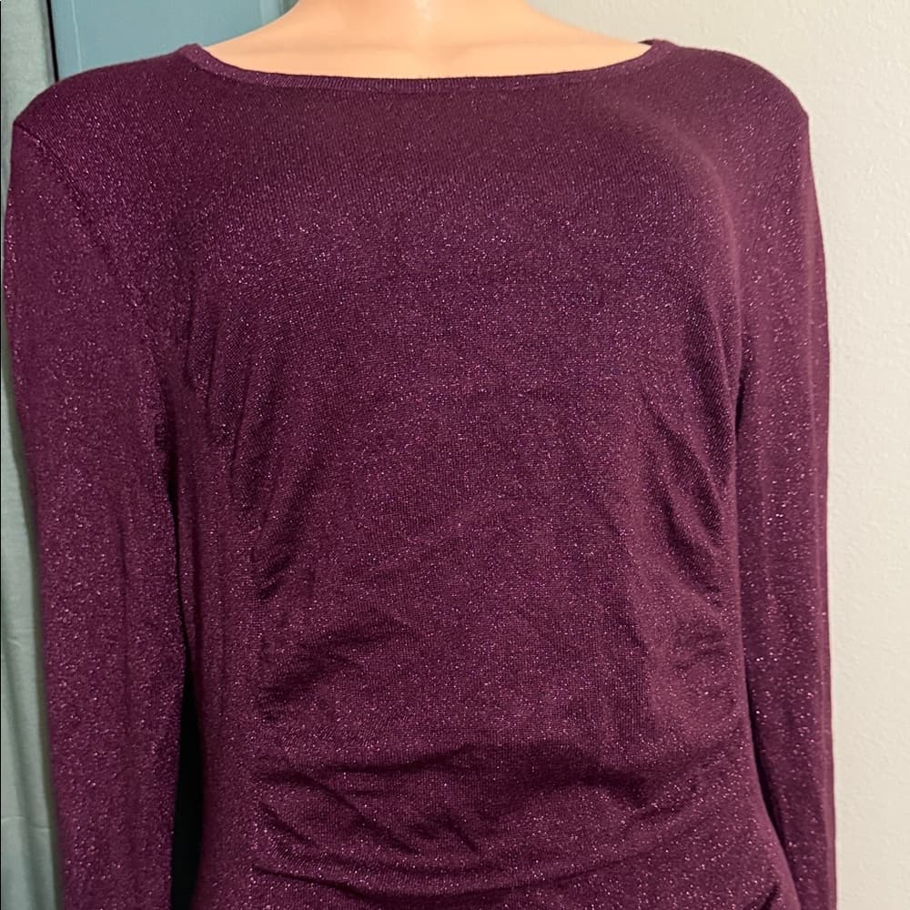 Elegant Purple Long Sleeve Dress