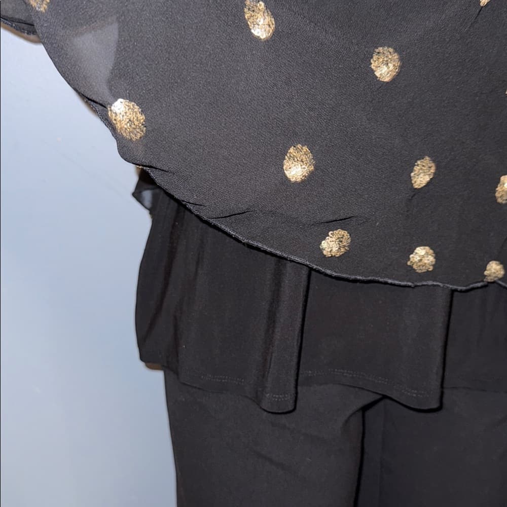 Elegant Black Sheer Polka Dot Blouse, Size 14W