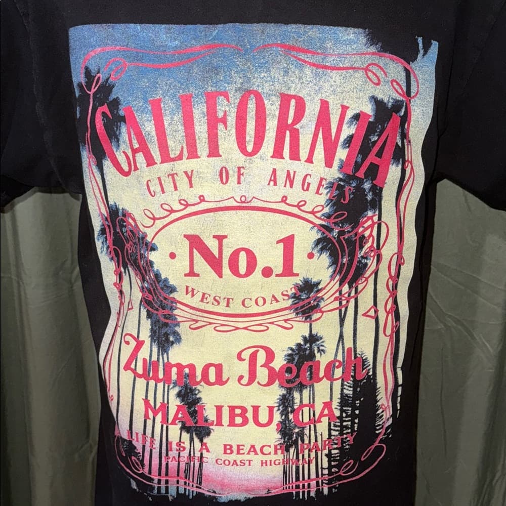 California Graphic Black V-Neck T-Shirt