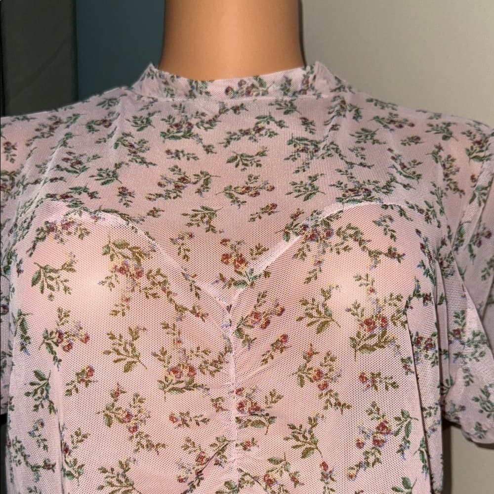 Light Pink Sheer Floral Blush Women's Blouse