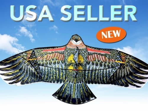 70" Huge Eagle Kite Outdoor Game Sport Flying Line Fun K70