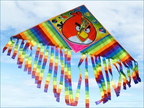 67" Bird Kite Outdoor Colorful Toy Sport With Flying Line Activity Fun K25