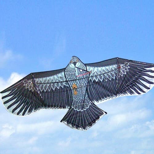 60" Eagle Kite Outside Game Gift Sport Fun Gift K10