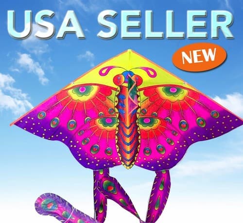50" 3D Butterfly Fire Kite Outside Toy Sport /Flying Line kk71
