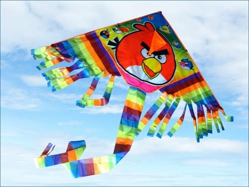 67" Birds Rainbow Big Head Kite Outdoor Game Sport Activity K25
