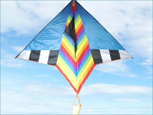 80" Big Huge Rainbow toys Kite Game Sport/ Flying Line K30