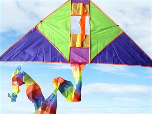 55" Kite Outside Sport Free Line Game Fun k26