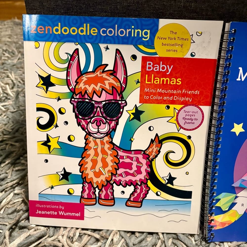 2 Adult or Teen-Age Girls Coloring Activity Sticker Books~ New from Target
