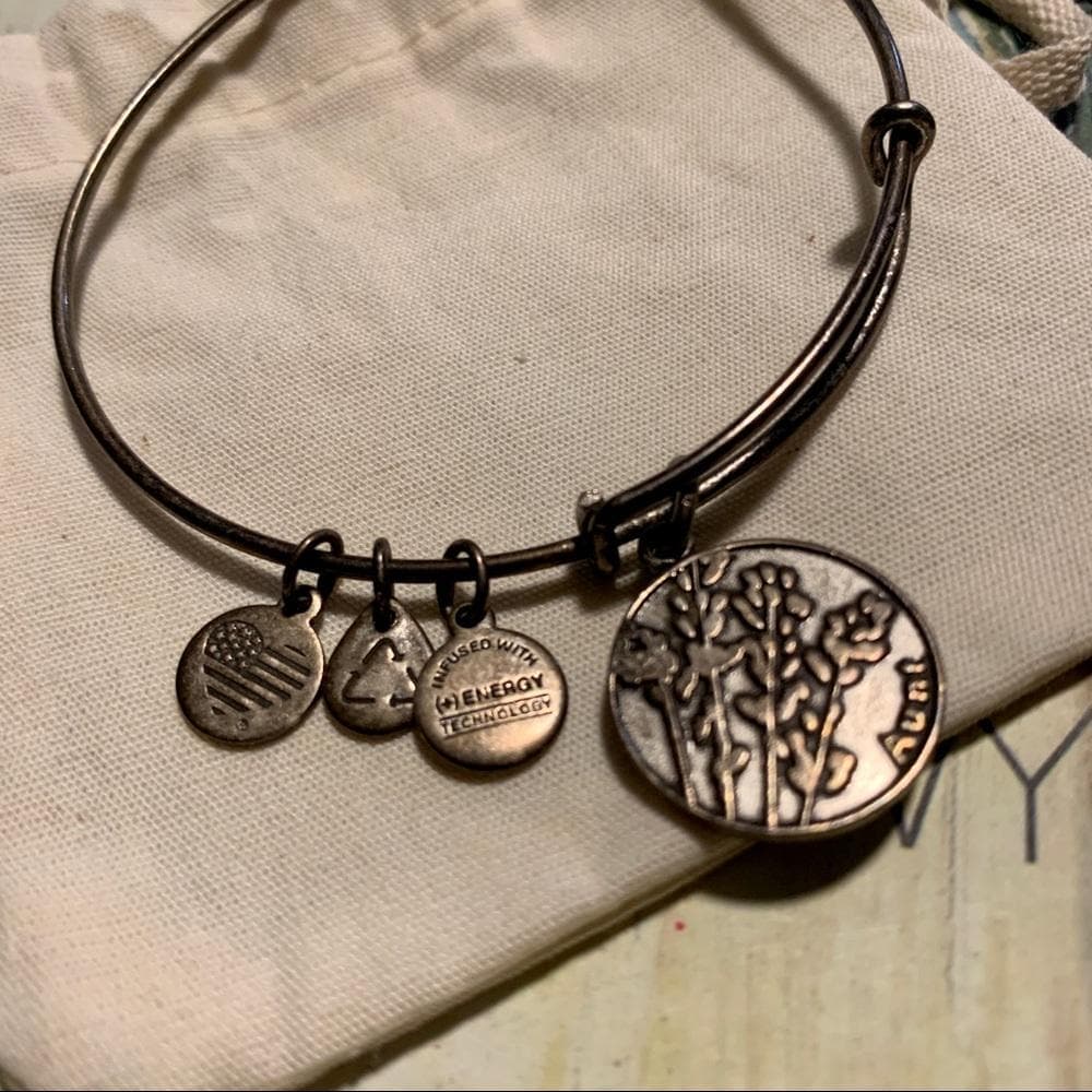 Alex & Ani “Aunt” Charm Bracelet