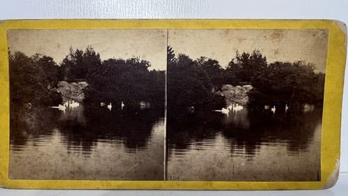 New York City NYC Swans on Lake H T Anthony CENTRAL PARK 1863 Stereoview