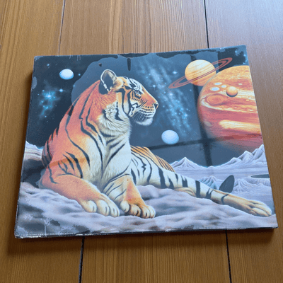 Vintage 1989 Scott Wilson Tiger Space Art Print 16x20 Poster World Pictures USA
