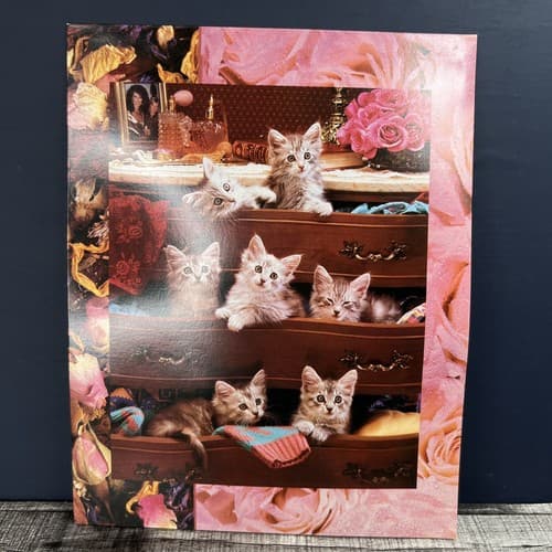 Vintage 1996 Stuart Hall Cats Kittens on a Dresser Pink Folder