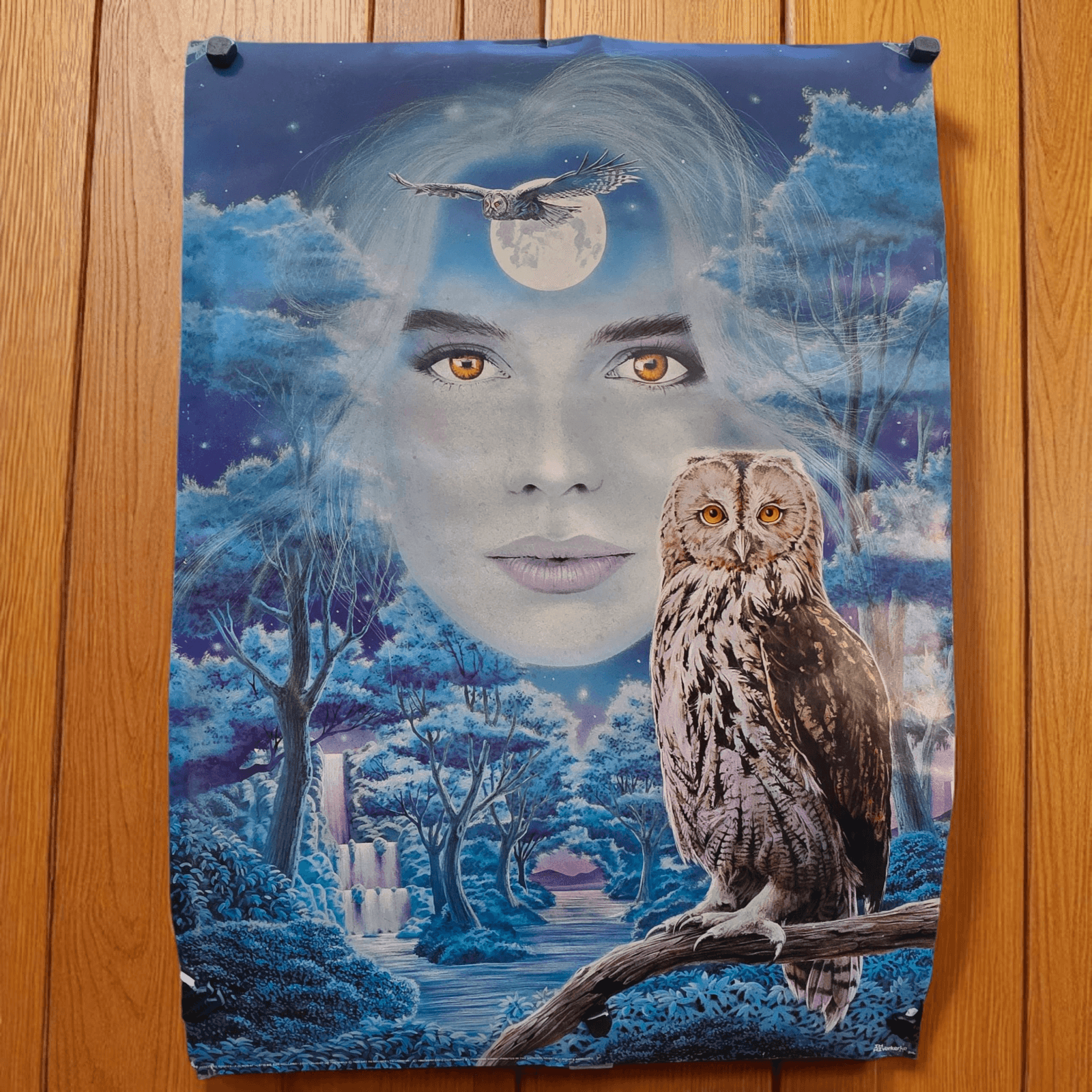 VINTAGE 1992 VERKERKE BLUE POSTER NATIVE AMERICAN WOMEN & OWL