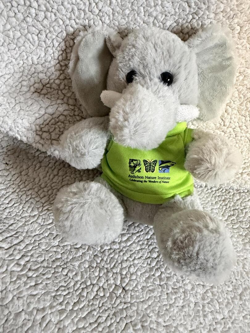 Audubon Nature Institute Plush Elephant Gray in Green Logo Tee