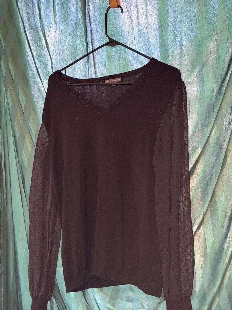 Adrianna Papell Black Long Sleeve Sheer Top