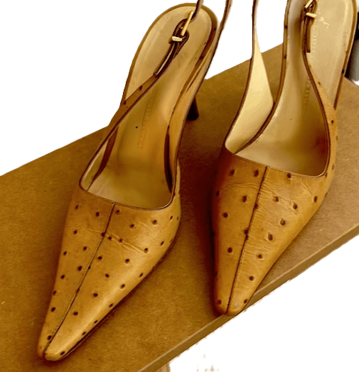 Giuseppe Zanotti Vicini Ostrich-Embossed Slingback Leather Pumps
