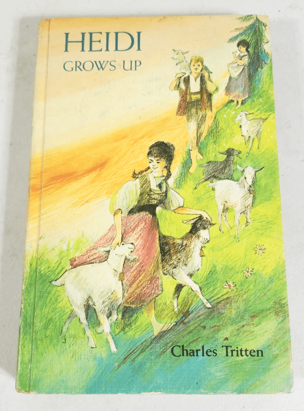 Heidi Grows Up by Charles Tritten illstr June Goldsborough Vintage Book