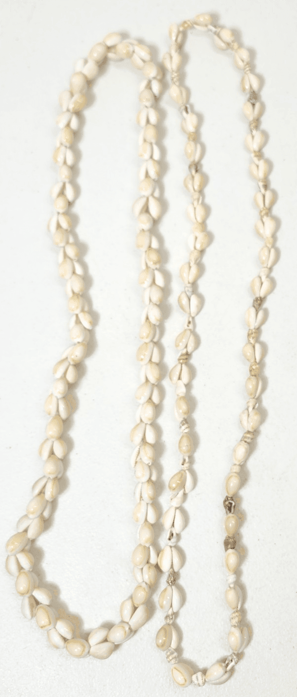 2 Shell Necklaces Tropical Island Themed Tiki Party Decor