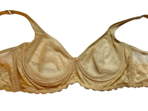 Nude Bra 34C Swiss Dot Cup Boned Sides Beige Floral Romantic Blush Lace Lingerie