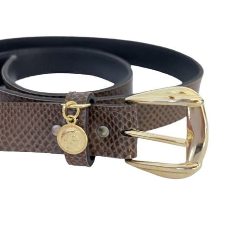 Vintage 1980 Snakeskin Look Belt Brown Gold Skinny Coin Charm Retro Regency Fall