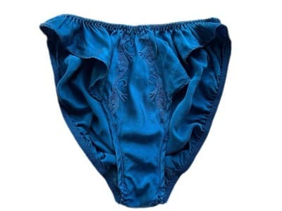 Victoria’s Secret BLUE SILK Hi Cut Panties Size Small Vintage Embroidered Panty
