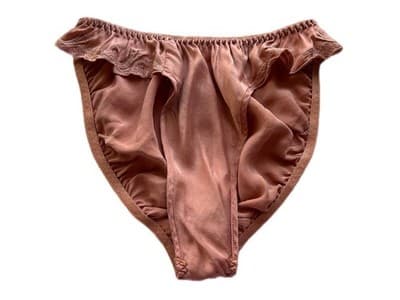 Victoria’s Secret BLUSH SILK Hi Cut Panties Size Small Vintage Embroidered Panty