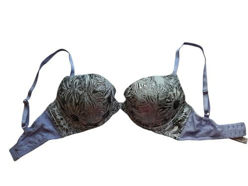 Victorias Secret Bra Dream AngelPush Up 32DD Silver Floral Cups Purple Lingerie
