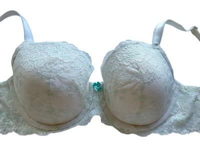 34DD White & Aqua Lined Demi Victorias Secret Bra Dream Angels Bow Free Shipping