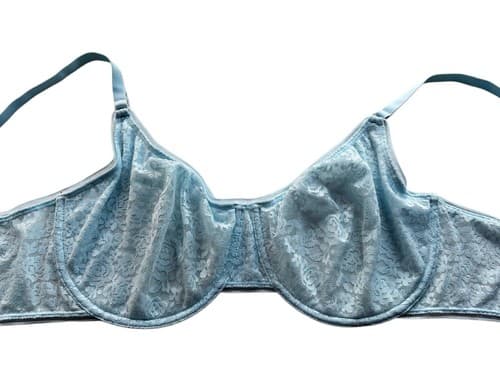 38DDD Maidenform Pastel Baby Blue Floral Lace Bra Lingerie Volup Pinup Coquette